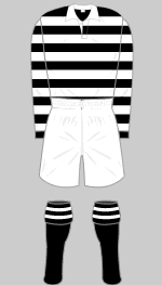 ayr united 1923-24