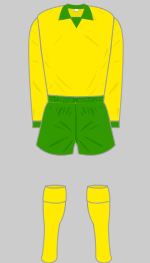 celtic fc 1976-77 change kit